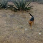 54437427_2111314415571118_3407291134664245248_n