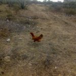 54462969_2111314802237746_323384657699667968_n