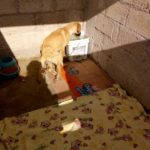 55901833_2121355647900328_5485734884188094464_n