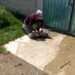 65826674_2275654195803805_2067100272743677952_n