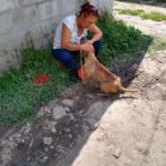 69757194_2389770821058808_3354707270238732288_n