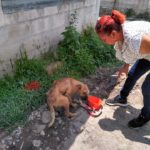 69923272_2389771187725438_2341290679977639936_n