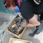 117766169_3187167934652422_3875500986776062399_n