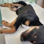 170122826_3830989033603639_4689233963560034762_n