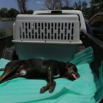 170586828_3830989190270290_6979598888549123308_n