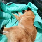 170699580_3830988806936995_6447486105394876083_n