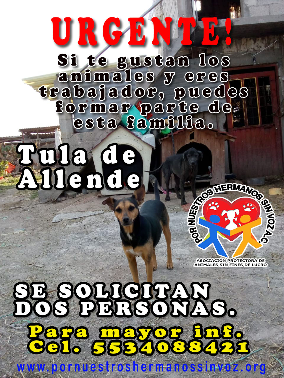 empleo