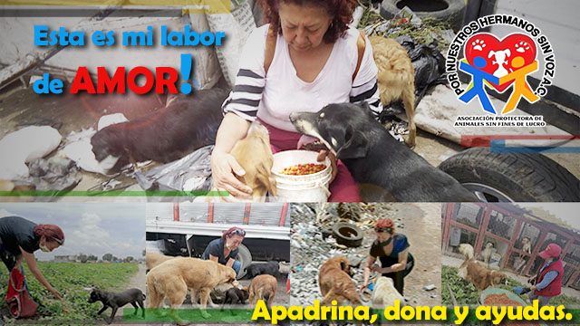 apadrina dona y ayudas