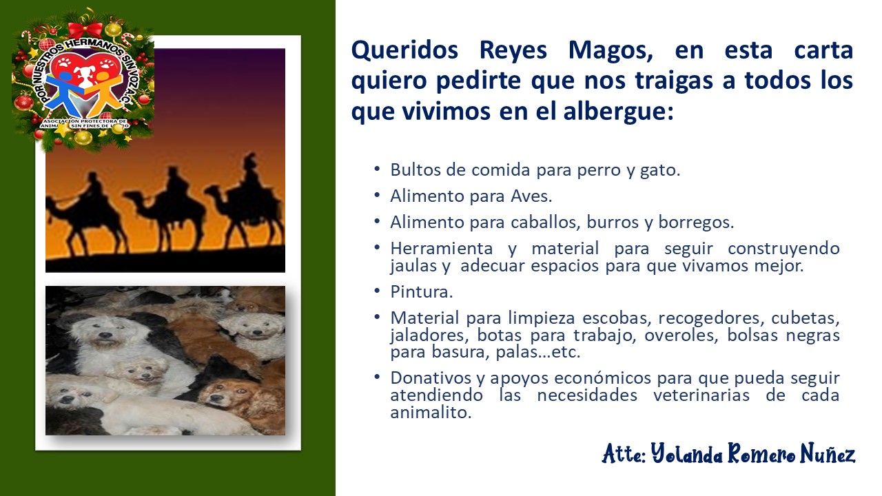 carta a los reyes magos